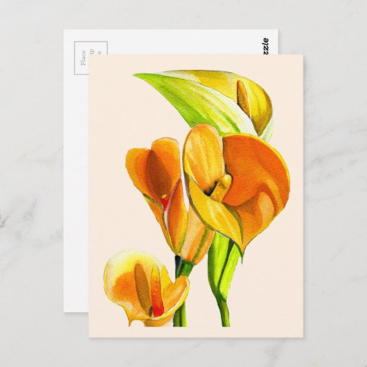 Calla liblütig Aquarellblüte Postkarte (Vorne/Hinten)
