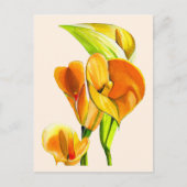 Calla liblütig Aquarellblüte Postkarte (Vorderseite)