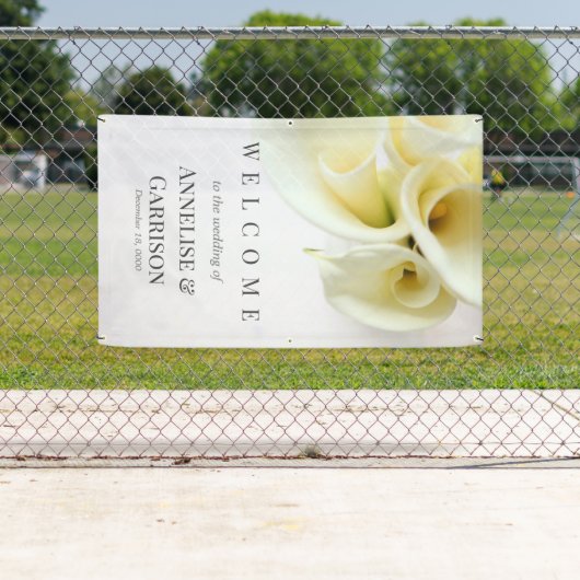 Calla lickt mit Textraum Banner (Insitu)