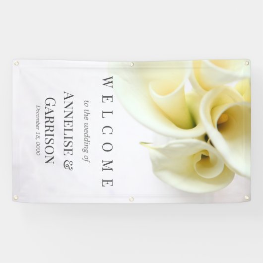 Calla lickt mit Textraum Banner (Horizontal)