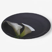 Calla liegt auf dunklem Hintergrund Pappteller (Schrägansicht)