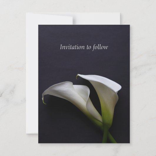 Calla liegt auf dunklem Hintergrund Save The Date (Rückseite)