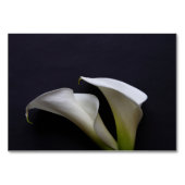 Calla liegt auf dunklem Hintergrund Tischnummer (Rückseite)