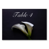 Calla liegt auf dunklem Hintergrund Tischnummer (Vorderseite)