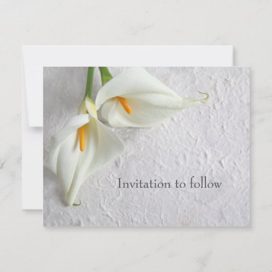 Calla liegt mit Platz für Text Save The Date (Rückseite)