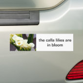 calla lies Autoaufkleber (Auf Auto)