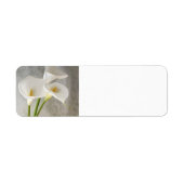 calla lies label (Vorne)