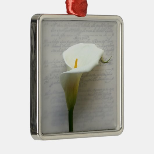 Calla-Lilie auf alten Handschrift Premium-Ornament Silbernes Ornament (Rechts)