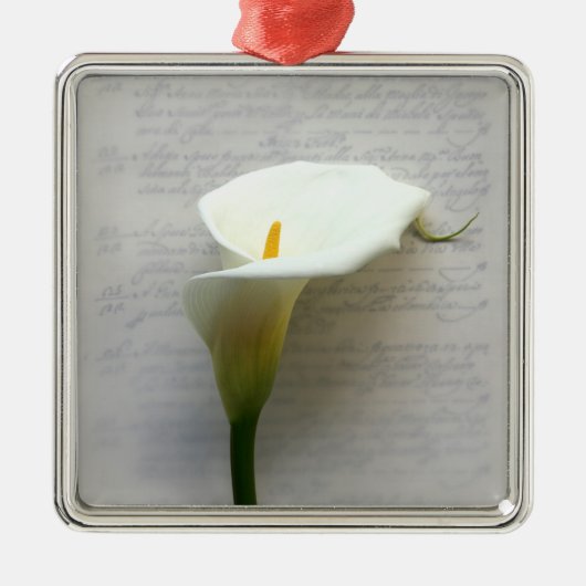 Calla-Lilie auf alten Handschrift Premium-Ornament Silbernes Ornament (Vorne)