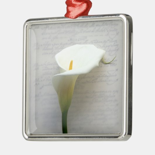 Calla-Lilie auf alten Handschrift Premium-Ornament Silbernes Ornament (Links)