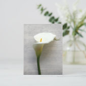 Calla Lilie auf alten Postkarten (Stehend Vorderseite)