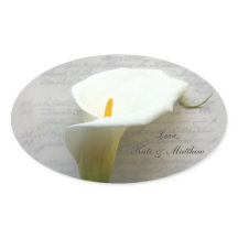 Calla Lilie auf alter Handschrift