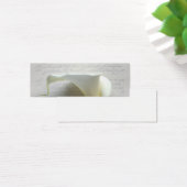 Calla-Lilie auf dem alten Script-Handschrift-Lesez (Schreibtisch)