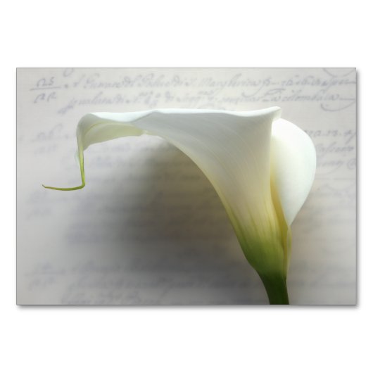 Calla Lilie auf Handschrift Tischnummer (Rückseite)