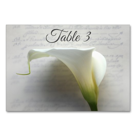 Calla Lilie auf Handschrift Tischnummer (Vorderseite)