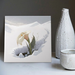 Calla-Lilie im Berg, die den Schnee durchbricht Fliese