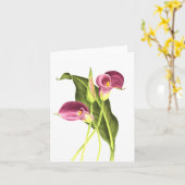 Calla-Lilie Karte (Gelbe Blume)