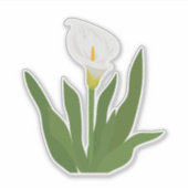 Calla-Lilien-Blumenaufkleber Aufkleber (Vorderseite)