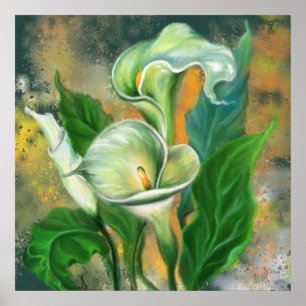 Calla-Lilien-Blumenposter-Malerei Poster