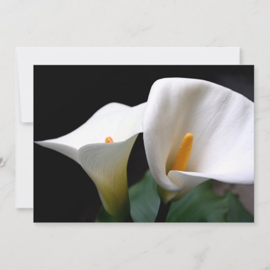 Calla-Lilien-Einladung Einladung (Vorderseite)