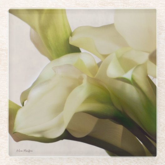 Calla-Lilien-Glas-Untersetzer Glasuntersetzer (Vorderseite)