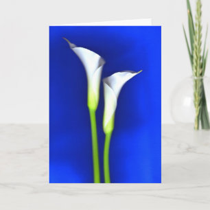 Calla-Lilien-Gruß-Karte Karte