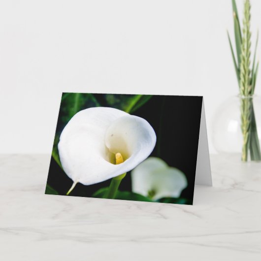 Calla-Lilien-Gruß-Karte Karte (Vorderseite)