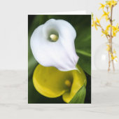 Calla-Lilien-Gruß-Karte Karte (Gelbe Blume)