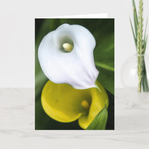 Calla-Lilien-Gruß-Karte Karte