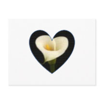 Calla-Lilien-Herz-Postkarte
