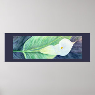 Calla-Lilien-Plakat Poster