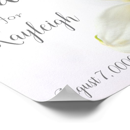 Calla Lilien Poster (Ecke)