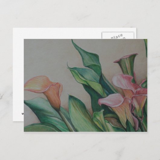 Calla Lilies Art Postcard Postkarte (Vorne/Hinten)