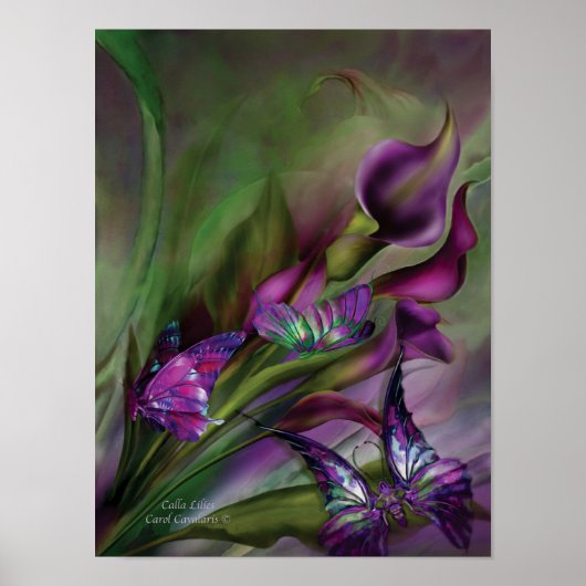 Calla Lilies Art Poster/Print Poster (Vorne)