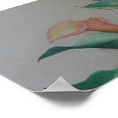 Calla Lilies Art Print Poster (Ecke)