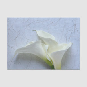 Calla lilies auf dekorativem Hintergrund Seidenpapier