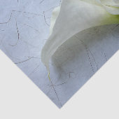 Calla lilies auf dekorativem Hintergrund Seidenpapier (Ausschnitt)