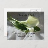 Calla Lilies auf der Weißen Spitze Save the Date Ankündigungspostkarte (Vorne/Hinten)