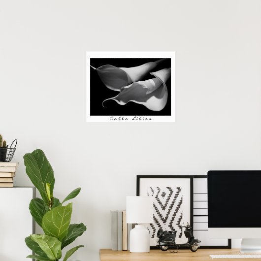 Calla Lilies in B&W Poster (Heimbüro)