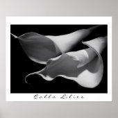 Calla Lilies in B&W Poster (Vorne)