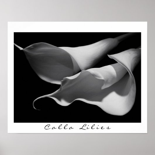 Calla Lilies in B&W Poster (Vorne)