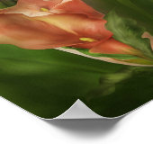 Calla Lilies in Calla Vase Art Poster/Print Poster (Ecke)