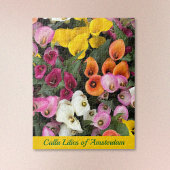 Calla Lilies of Amsterdam Puzzle