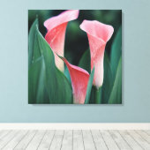 Calla Lilies Pink Blume Leinwanddruck (Insitu (Holzboden))