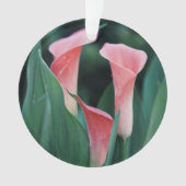 Calla Lilies Pink Blume Ornament (Vorderseite)