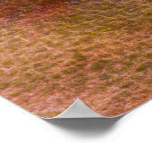 Calla Lilies Poster (Ecke)