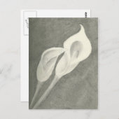 Calla Lilies Postkarte (Vorne/Hinten)