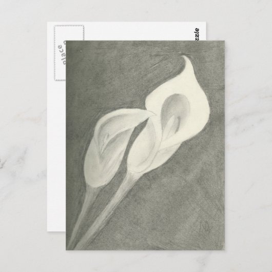 Calla Lilies Postkarte (Vorne/Hinten)