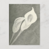 Calla Lilies Postkarte (Vorderseite)