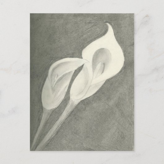 Calla Lilies Postkarte (Vorderseite)